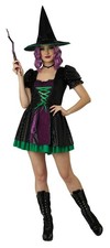 Shimmering Wicked Witch Women Adult Costume