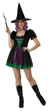 Shimmering Wicked Witch Women Adult Costume