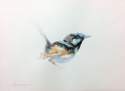 Fairy-wren, Watercolor artwork, Handmade, Original painting on paper