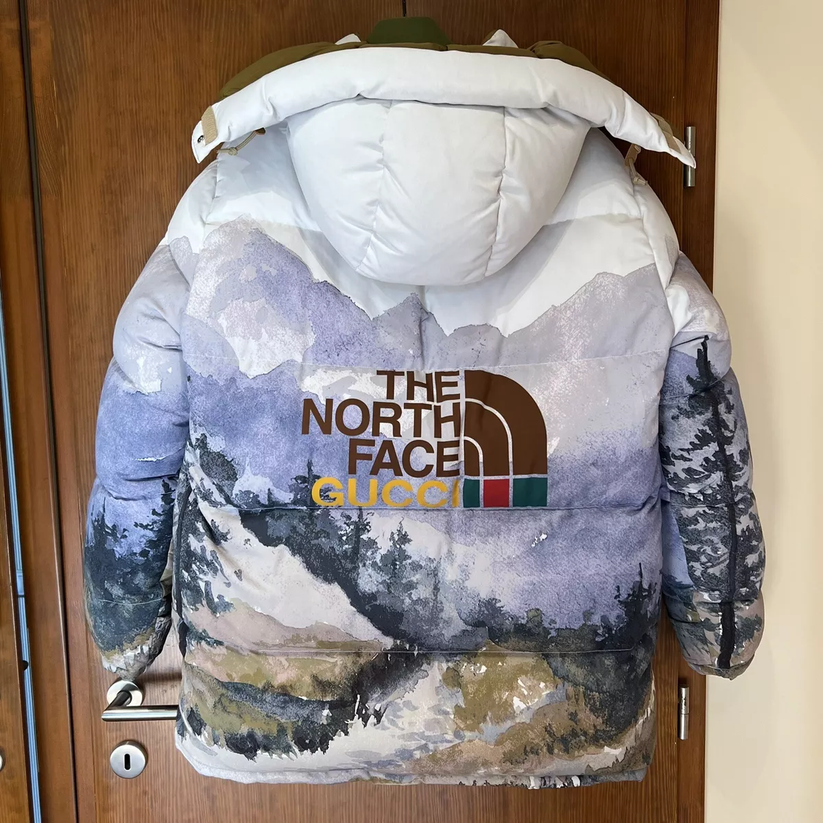 Gucci X North Face Jacket