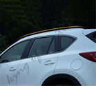 Bild 8 von 11