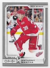 18/19 O-PEE-CHEE SILVER BORDER PARALLEL Hockey (#251-500) U-Pick From List