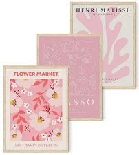 Djmwtb Matisse Picasso Abstract Poster Set of 3 Pink Flower Market Canvas Wal...