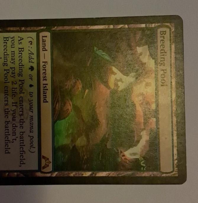 Breeding Pool HP Magic the Gathering Gatecrash MTG - Image 3 of 4
