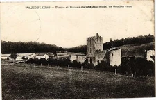 Old postcard Vaucouleurs-Ferme et Ruines du Château feudal de Gombervaux (184227)