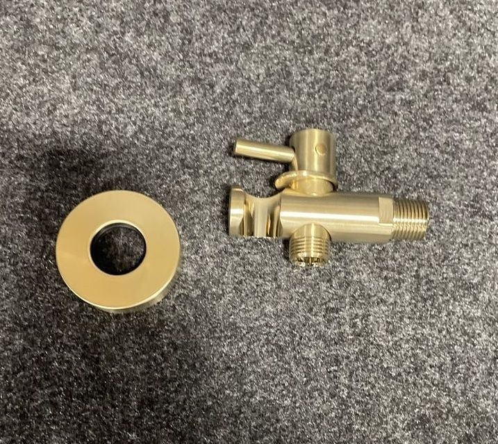 ROHL 0126WOAG Hand shower Outlet With Holder and Integrated Volume Control