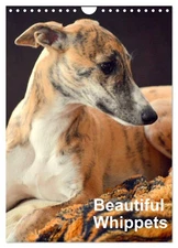 Beautiful Whippets  (Wall Calendar 2026 DIN A4 Portrait), CALVENDO 12 Month Wall