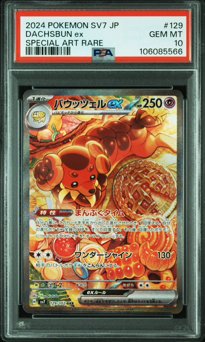 PSA 10 Dachsbun ex 129/102 SAR Stellar Miracle Japanese sv7