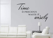 TIME IS PRECIOUS WASTE IT WISELY Wall Art Sticker Quote Decal Modern Transfer