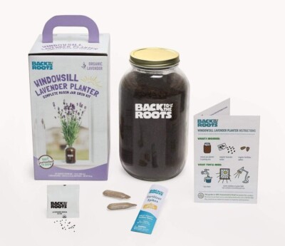 Organic Lavender Grow Kit - True Natural Organic Healthy Growth & DAILY SHIPPING