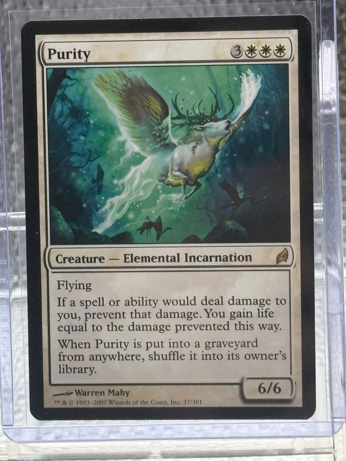 MTG Purity- Lorwyn Magic the Gathering Card #037
