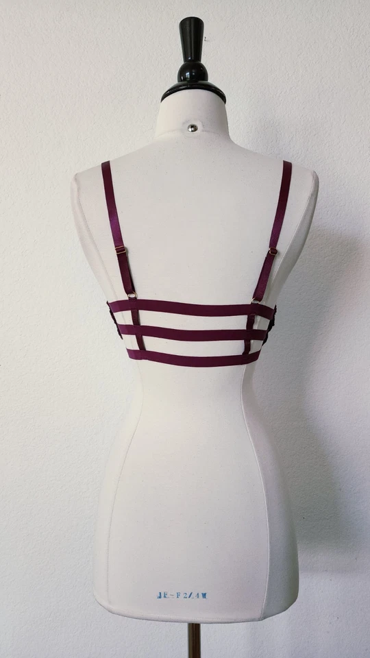 Bralette Anthropologie Nuevo Talla Pequeña Encaje Púrpura Berenjena Enjaulada Tirantes Espalda Foto 3 de 4