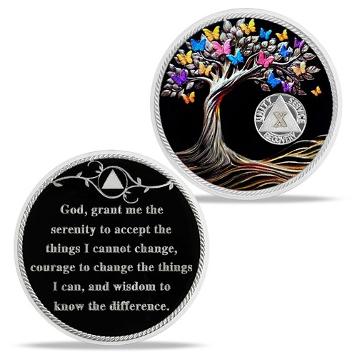 10 Years Sobriety Coin AA Recovery Milestone Token Sobriety Gifts For Men Women - Picture 7 of 12