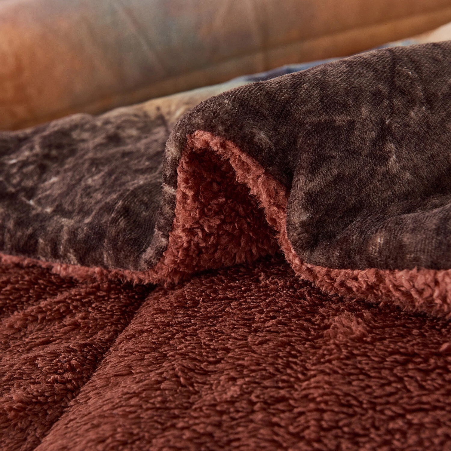 3Pcs Animal Print Blanket Set Warm Comfortable Wild Lion Comforter 78x83" Queen