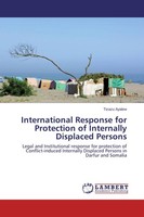 International Response For Protection Of Internally Displaced Persons Tizazu Aya