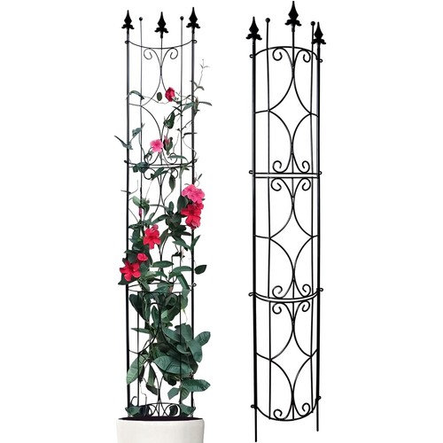 Garden Trellis 2 Pack 72'' H x 12'' W Metal Plant Trellis Indoor/Outdoor Meta...