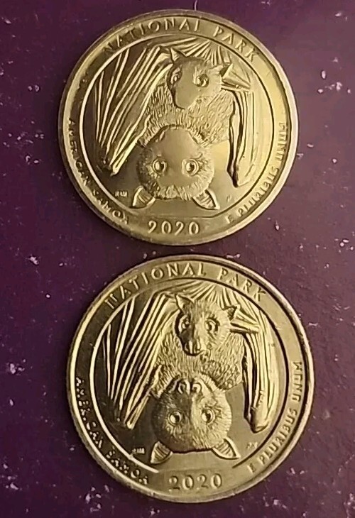 Picture 15 of 24