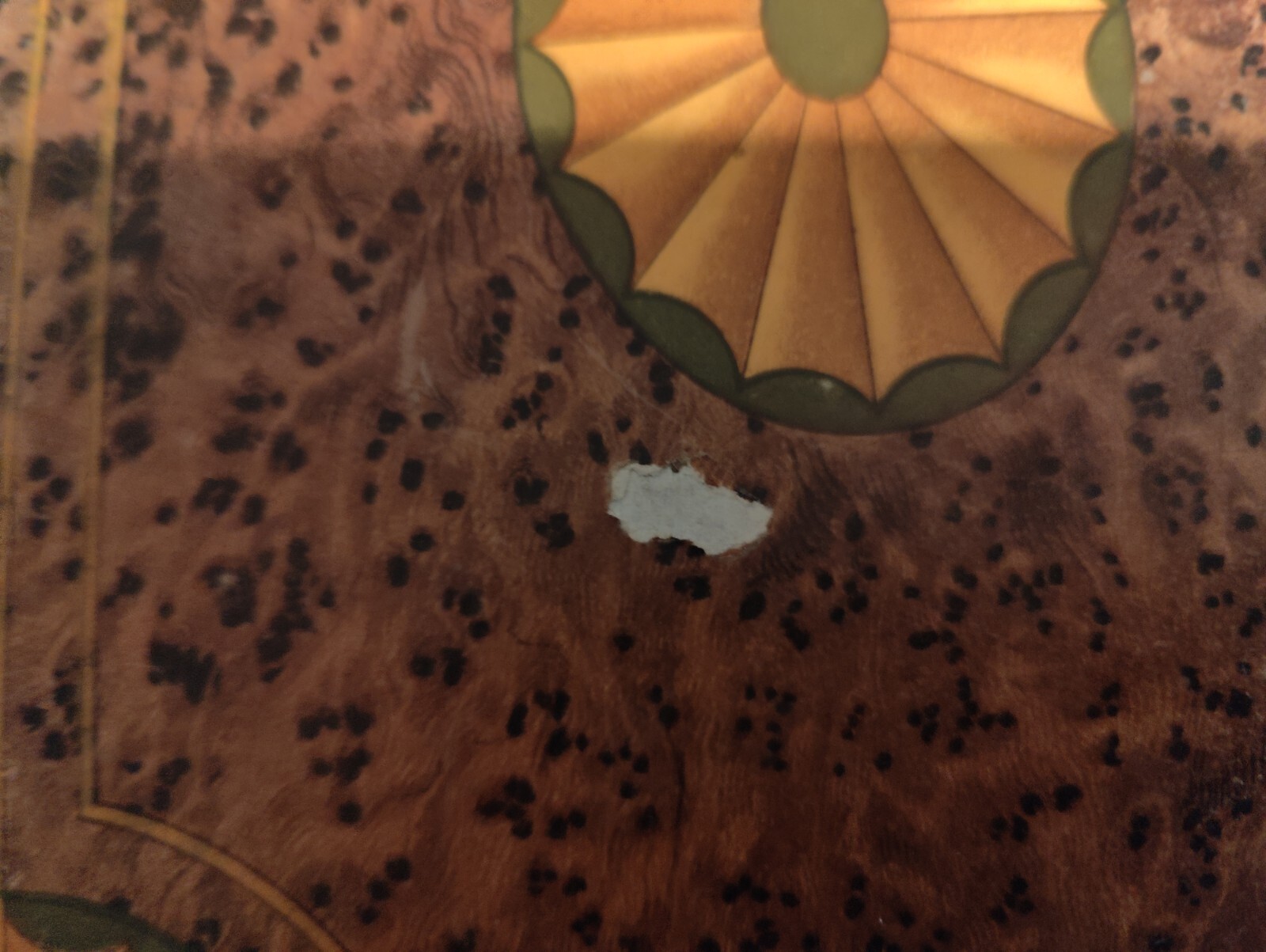 Picture 6 of 24