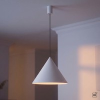 HäNgeleuchte Pendelleuchte Metall Hellgrau Ø 50 Cm H: Max. 130 Cm Verstellbar