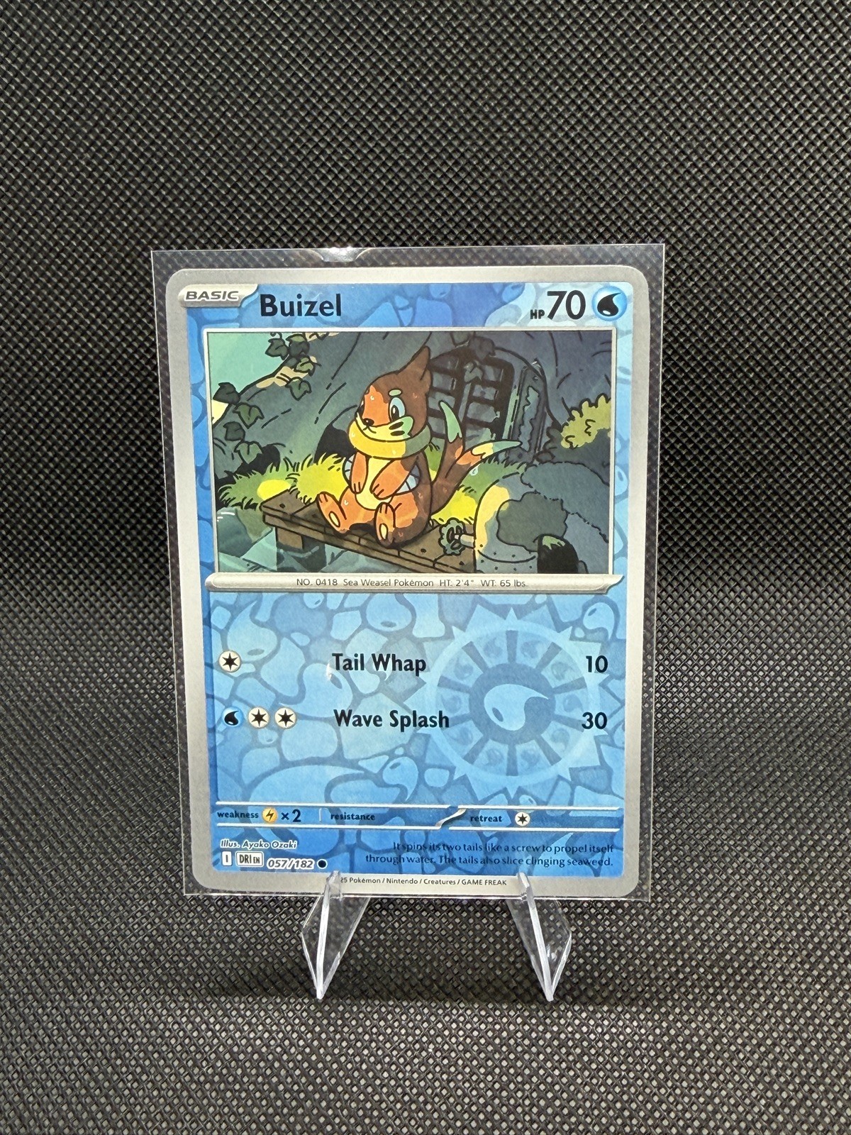 Pokemon Buizel Scarlet & Violet Destined Rivals Reverse Holo Common 057/182 NM!!