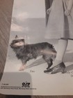 Movie Poster - Wizard of Oz - 1939 - Size: 28 x 22 Garland, Bolger, Haley, Lahr — photo 2