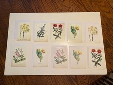 TEN Blank Note Cards with Envelopes Set of 10, Flowers Design