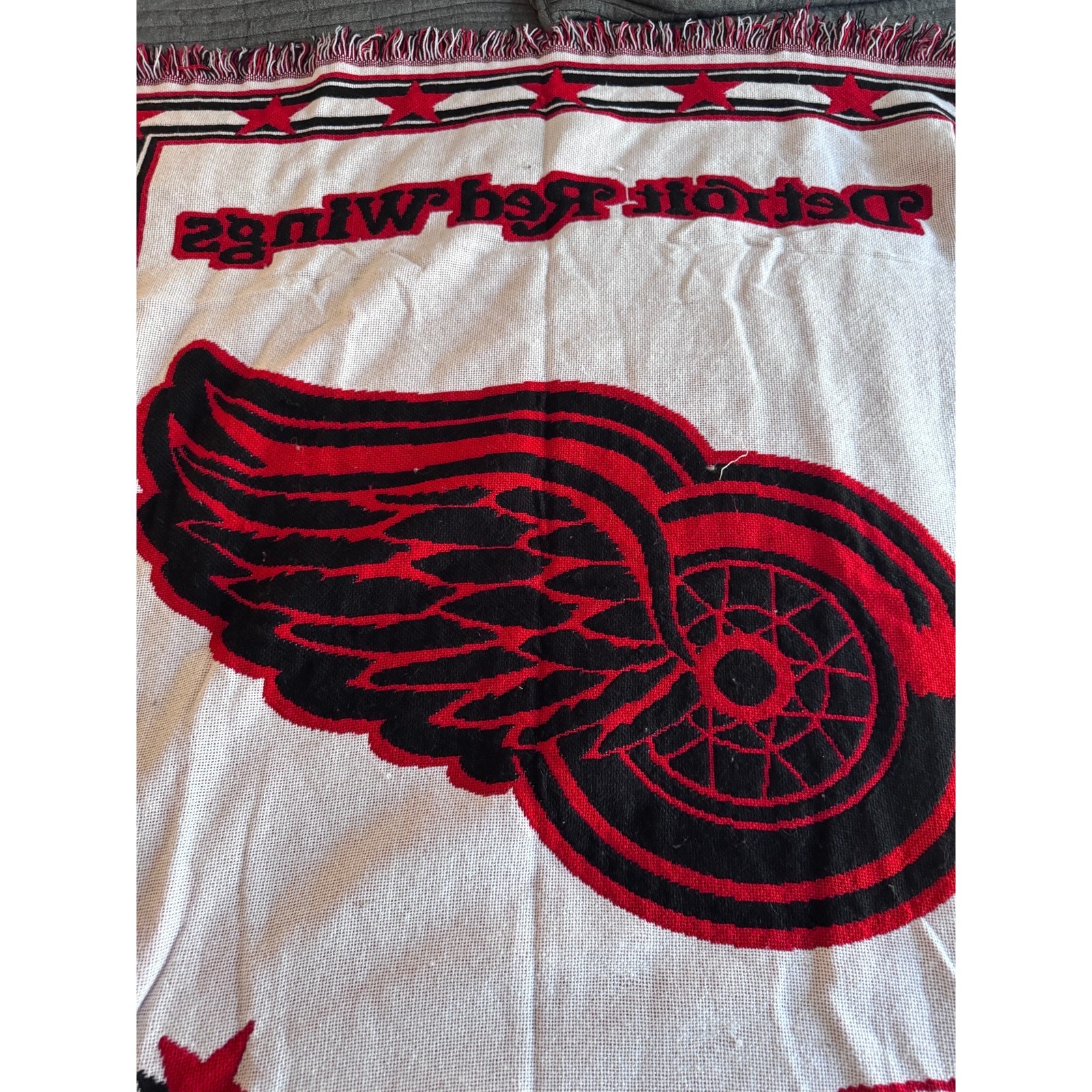 The Northwest Company NHL Detroit Redwings Black Heavy Acrylic Blanket 6' x 4'