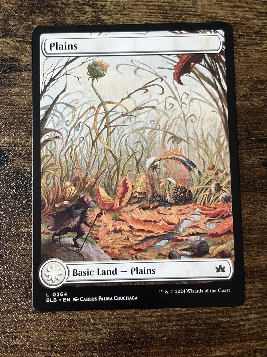 mtg plains card One Piece TCG Extra Display Case