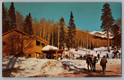 Ski Lodge Arizona Snow Bowl Postcard