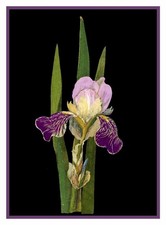 Purple Iris Flowers inspired Mary Delany Counted Cross Stitch Pattern