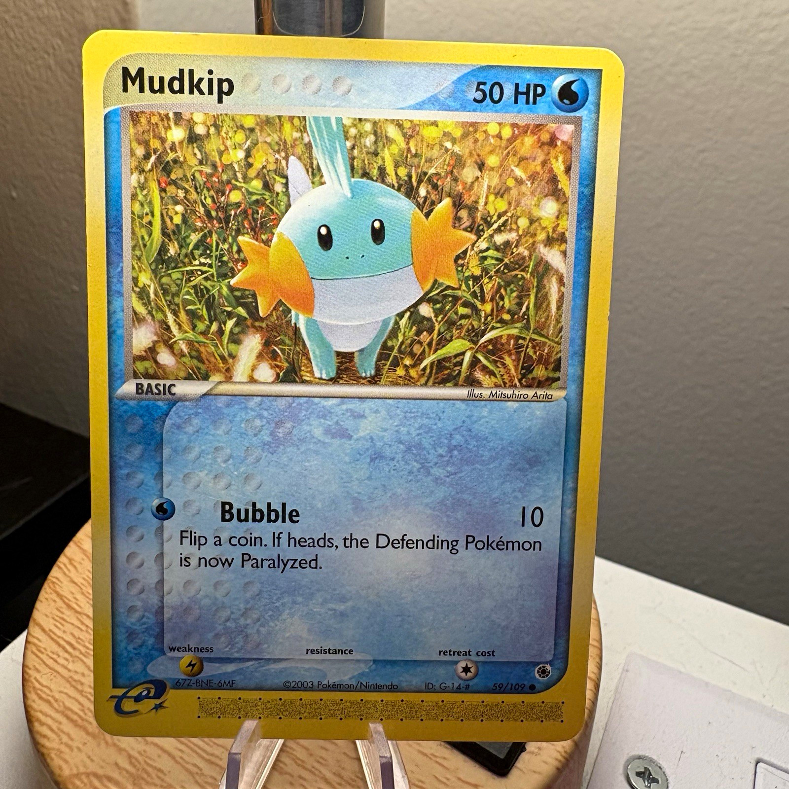 Pokémon TCG Mudkip 59/109 EX Ruby & Sapphire Regular Common Basic 50 HP Eng