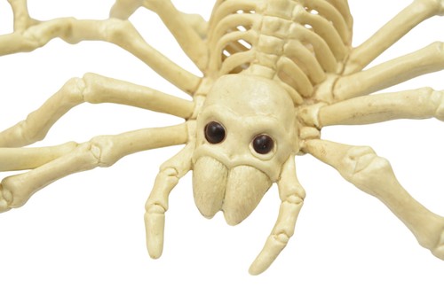 Spider Skeletons SET OF 6 Halloween Decor Props Creepy Animals - Picture 4 of 8