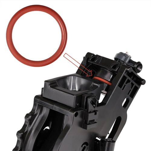 Junta O-Ring para Saeco Philips Miele Grupo Erogación Pistón Cafetera Automática - Imagen 3 de 3