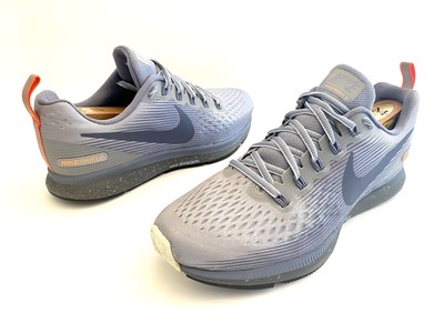 air pegasus 34 shield