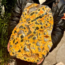 24LB Magic pattern bumblebee ocean jasper quartz crystal specimen healing