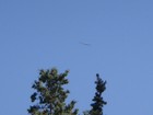 Bild 16 von 24