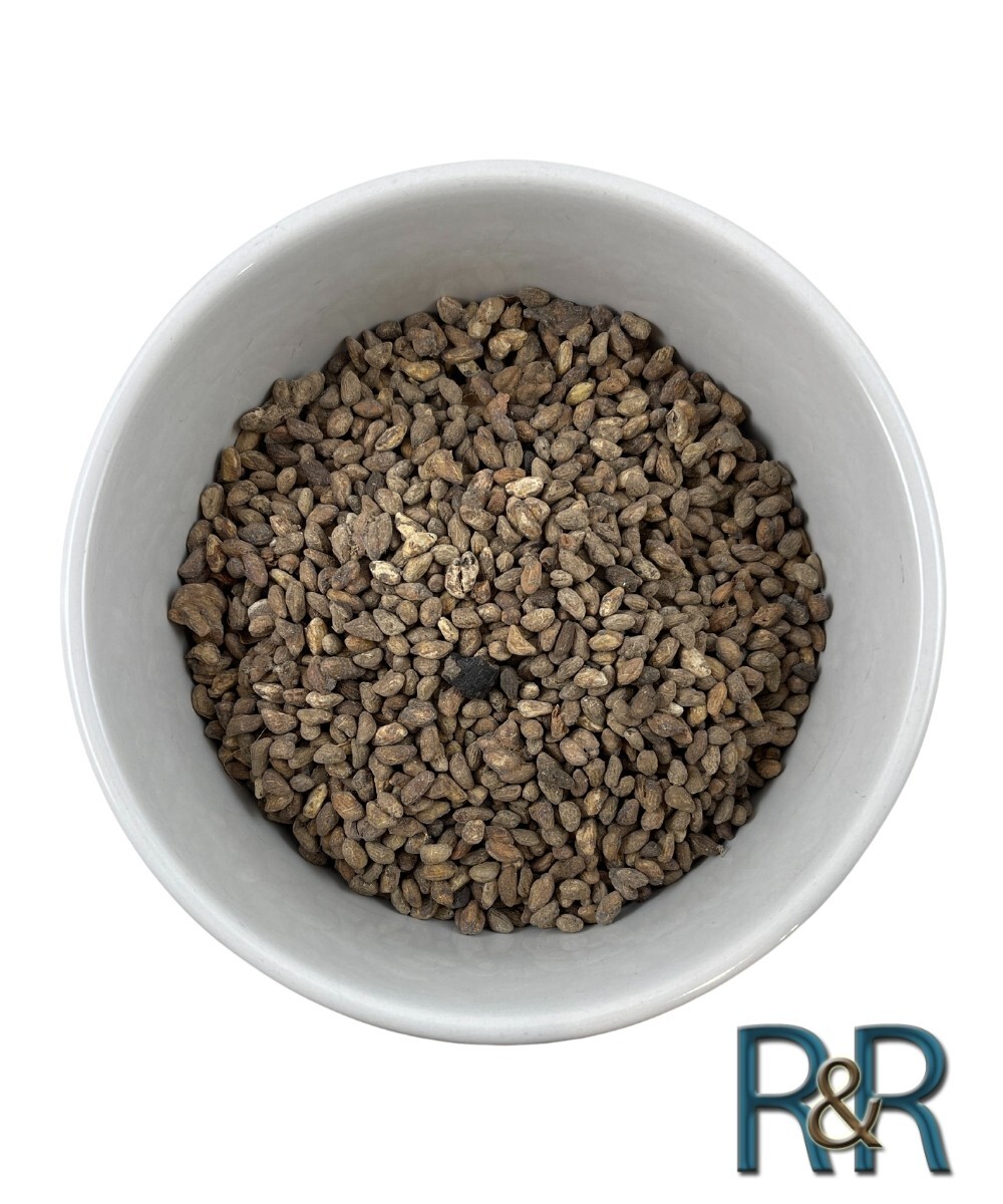 Organic Voacanga Africana Seeds Ghana Alkaloid USA Fresh Remedy | eBay