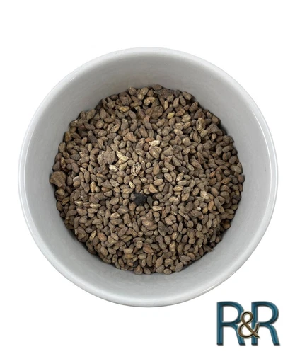 Voacanga WHOLE SEEDS African ORGANIC - Free Shipping + USA SHIP + FRESH HARVEST