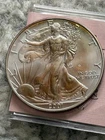 U.S. Mint 2001 American Silver Eagle Toned back and Front