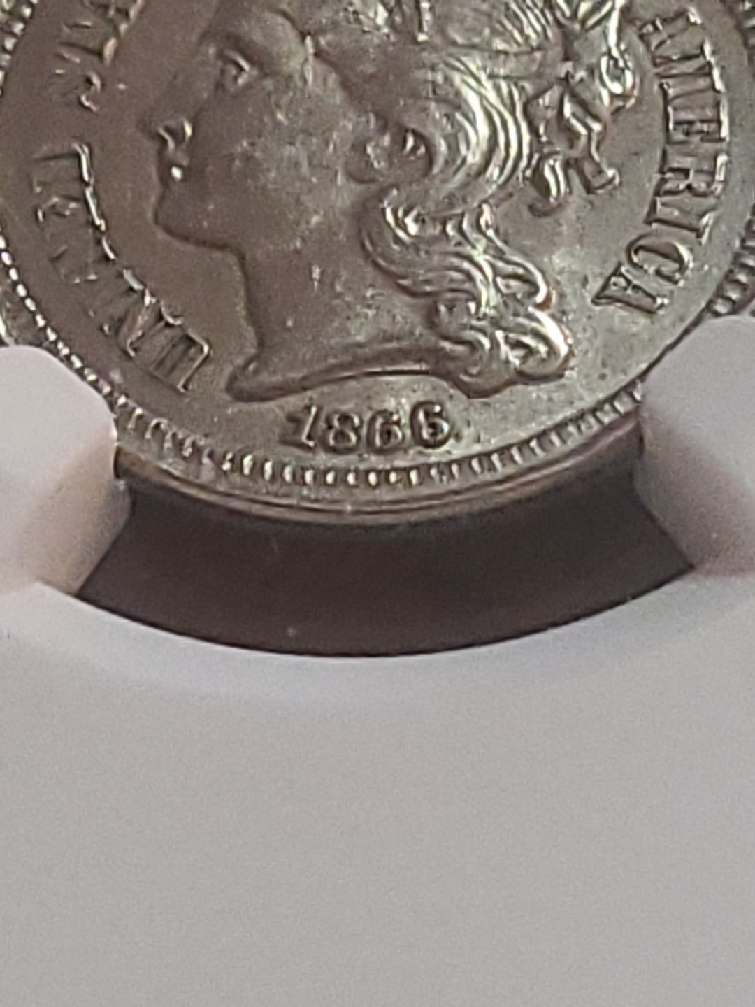 Picture 5 of 14