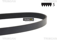 Triscan 8640501123Xs Keilrippenriemen Keilriemen FüR Volvo