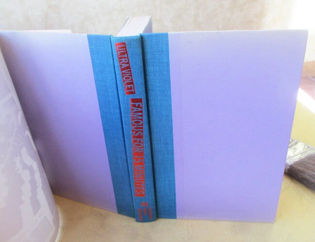 FAMOUS FOR 15 MINUTES,ULTRA VIOLET;MY YEARS WITH ANDY WARHOL,1988,1stEd,Illst,DJ Foto 2 de 4