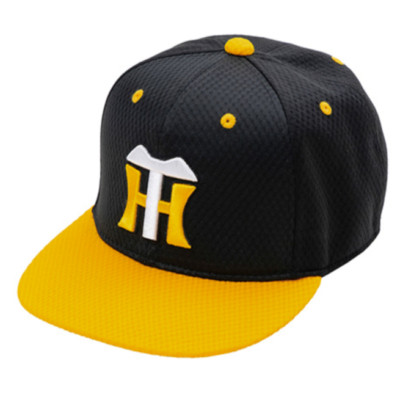 Hanshin Tigers 2024 Replica Cap Hat Flat Visor Black x Yellow NPB