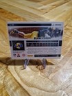 Foto 4 di 6