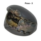 Bild 3 von 5