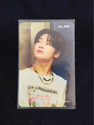 アイドル GalaxyZFlip5 straykids accessory edition SLBS - Stray Kids Accessories Edition (Galaxy Z Flip5) – Harumio