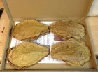 ~100 Pieces (=100 Gram ~5") PREMIUM INDIAN ALMOND CATAPPA LEAVES discus, shrimpS