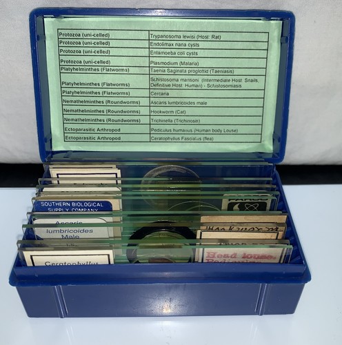 PARASITE Microscope Slide Set DEADLY DISEASE Insect WHOLE MOUNT Helminth Worm - Picture 2 of 7