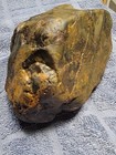 Green California Mossy Sea Jasper / Brecciated Jaspagate 3.5LBS Rough — photo 6