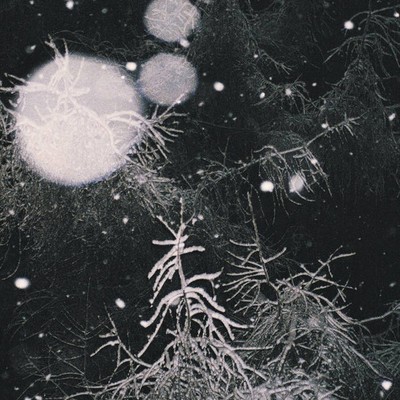 Over the Voids... Over the Voids (CD) Album